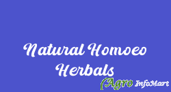 Natural Homoeo Herbals rajkot india