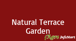 Natural Terrace Garden