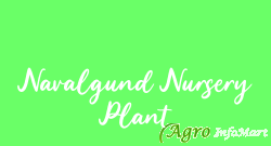 Navalgund Nursery Plant