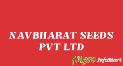 NAVBHARAT SEEDS PVT LTD ahmedabad india