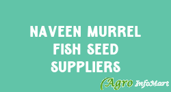 Naveen Murrel Fish Seed Suppliers hyderabad india
