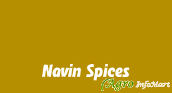 Navin Spices ahmednagar india