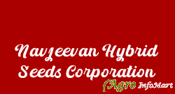 Navjeevan Hybrid Seeds Corporation jalna india