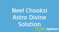 Neel Chooksi Astro Divine Solution