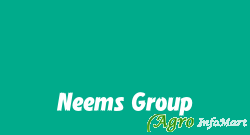 Neems Group