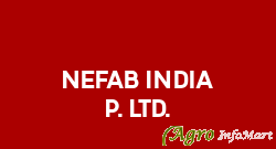 Nefab India P. Ltd.