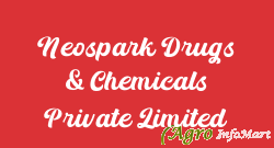 Neospark Drugs & Chemicals Private Limited hyderabad india