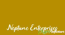 Neptune Enterprises
