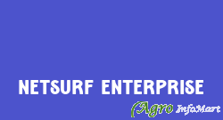 Netsurf Enterprise surat india
