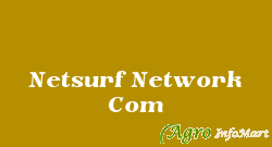 Netsurf Network Com ghaziabad india