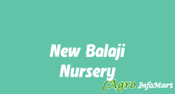 New Balaji Nursery