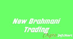 New Brahmani Trading