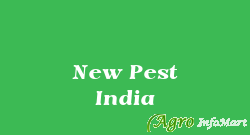 New Pest India delhi india