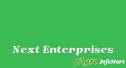 Next Enterprises