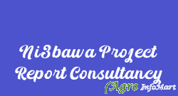 Ni3bawa Project Report Consultancy