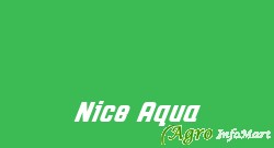 Nice Aqua
