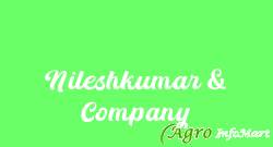 Nileshkumar & Company