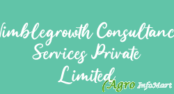 Nimblegrowth Consultancy Services Private Limited
