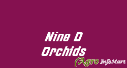 Nine D Orchids