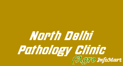 North Delhi Pathology Clinic