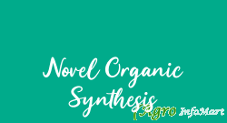 Novel Organic Synthesis