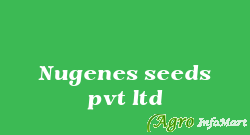 Nugenes seeds pvt ltd alwar india