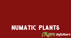 Numatic Plants