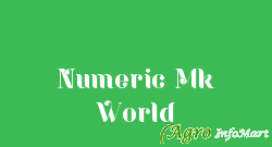 Numeric Mk World