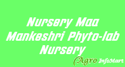 Nursery Maa Mankeshri Phyto-lab Nursery