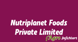 Nutriplanet Foods Private Limited bangalore india