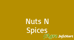 Nuts N Spices chennai india