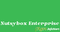 Nutsybox Enterprise delhi india