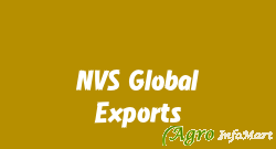 NVS Global Exports vadodara india