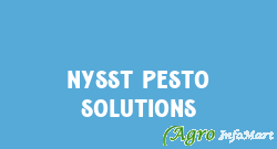 Nysst Pesto Solutions