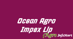 Ocean Agro Impex Llp ahmedabad india