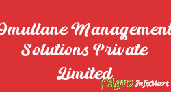 Omullane Management Solutions Private Limited hyderabad india