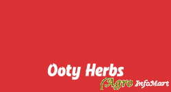 Ooty Herbs