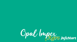 Opal Impex delhi india