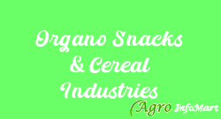 Organo Snacks & Cereal Industries jodhpur india