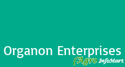 Organon Enterprises noida india