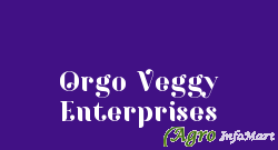 Orgo Veggy Enterprises pune india