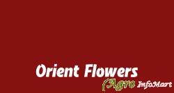 Orient Flowers delhi india