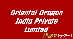 Oriental Dragon India Private Limited delhi india