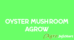 Oyster Mushroom Agrow