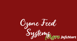 Ozone Feed Systems
