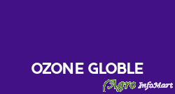 ozone globle udaipur india