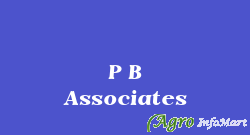 P B Associates ahmedabad india