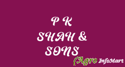 P K SHAH & SONS
