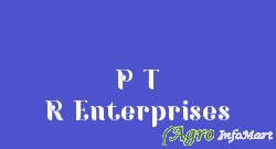 P T R Enterprises