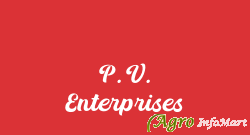 P. V. Enterprises delhi india